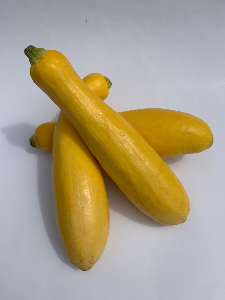 Summer Squash